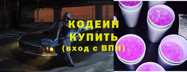 сатива Каменногорск