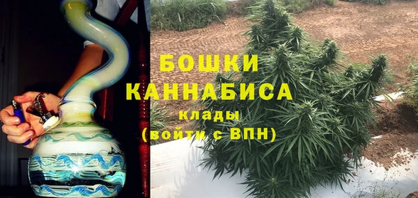 тгк Касимов
