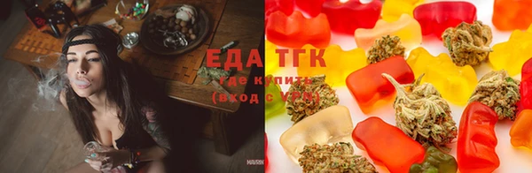 тгк Касимов