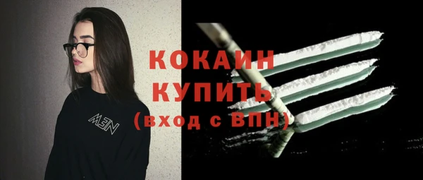 сатива Каменногорск
