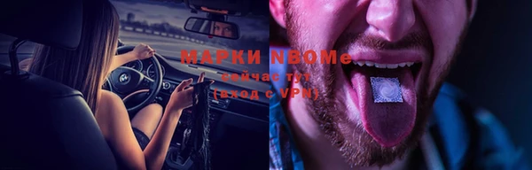 apvp Каменка