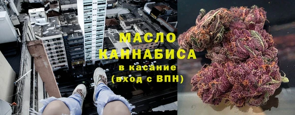 сатива Каменногорск