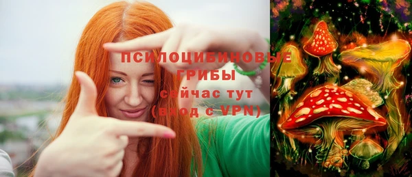 тгк Касимов