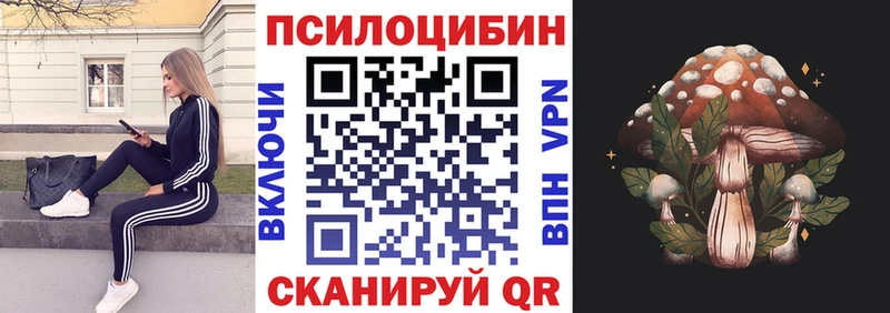 МЕГА ТОР  Макушино  Псилоцибиновые грибы ЛСД 